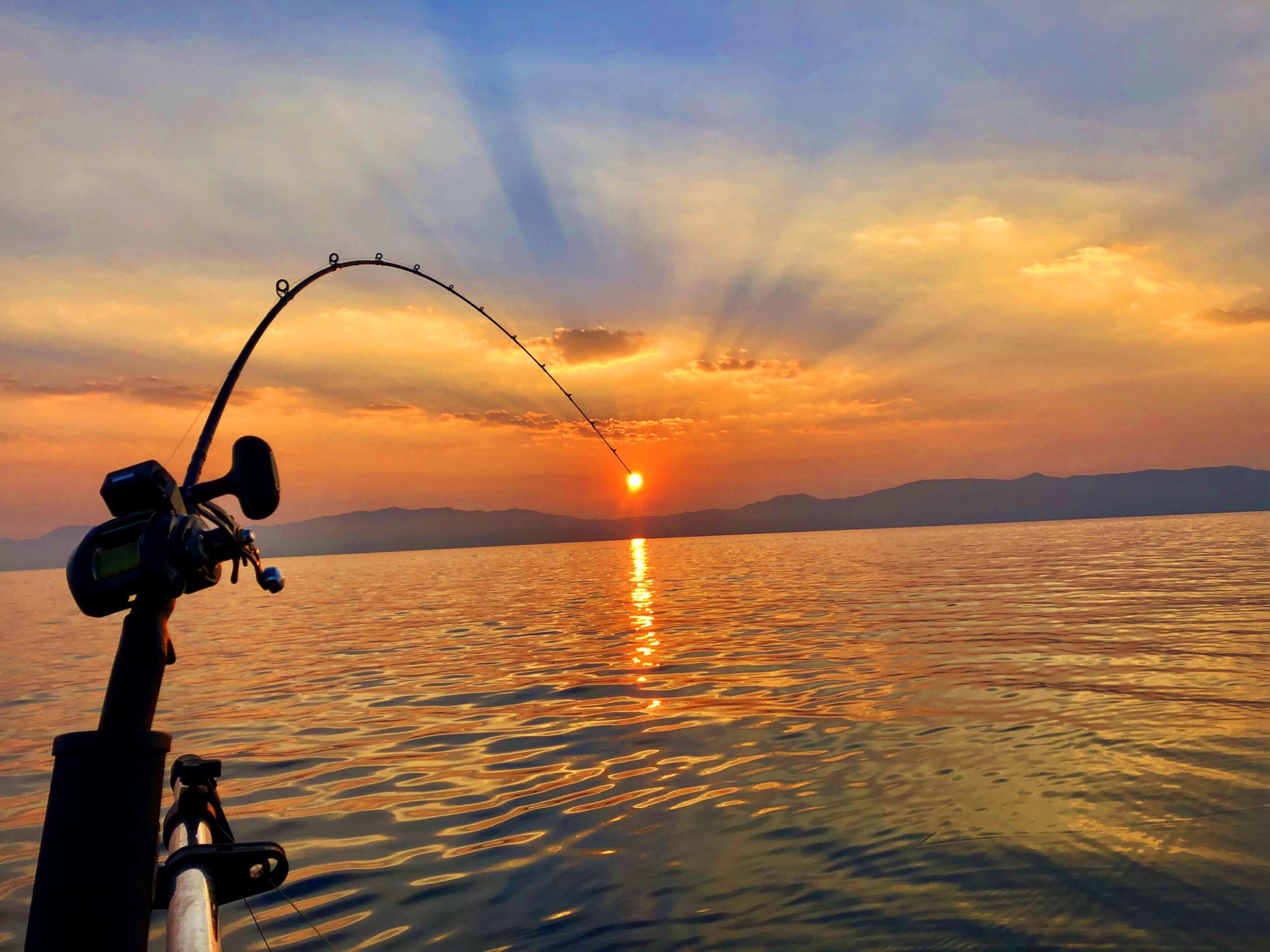 Fishing Accessories - fishing accessories 001