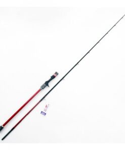 Καλάμι Lemax Big Boss 80-280gr BB-JC 6046 (XZOGA)