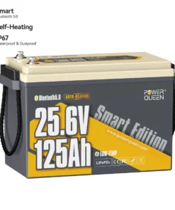 Μπαταρία Λιθίου LiFePO4 24V 125Ah Marine Smart Bluetooth Power Queen Αυτοθερμαινόμενη