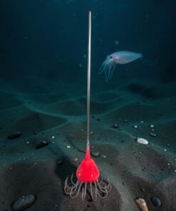 Θραψαλιέρα Χειροποίητη STEKA LURES με Φώσφορο 160-260γρ.